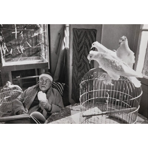 Henri Cartier-Bresson (French, 1908-2004) Henri Matisse with Doves, Villa Le Rêve, Vence, 1944