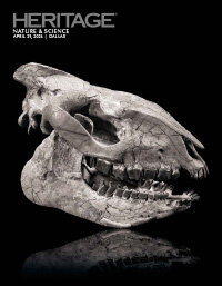 April 29 Nature & Science Signature Auction