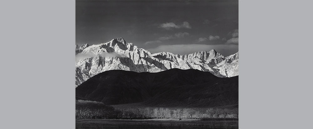 April 7 Photographs Signature Auction