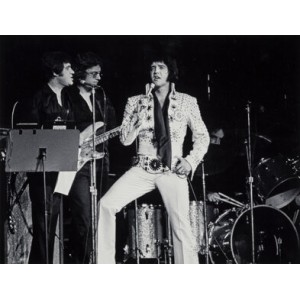 Andy Hanson (American, 1932-2008) Elvis On Stage, 1977