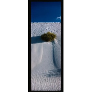 Lucien Clergue (French, 1934-2014) White Sands I, 1985