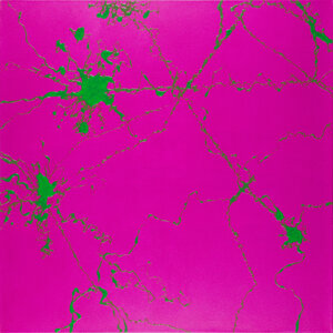 Dave Navarro and PADHiA