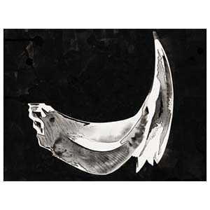 TIDE (b. 1984) Tatsuhiro Ide Claw #2, 2022