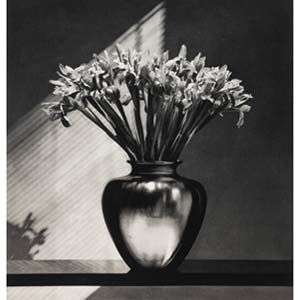 Robert Mapplethorpe (American, 1946-1989) Irises, 1986