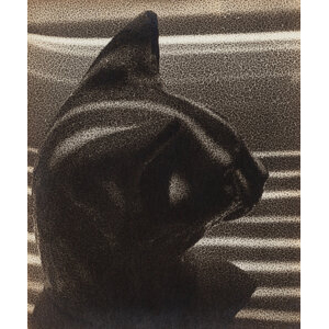 Carlotta Corpron (American, 1901-1988) Head of 'Winkie,' 1944
