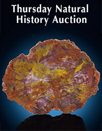 August 6 Thursday Natural History Select Auction