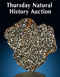 August 13 Thursday Natural History Select Auction