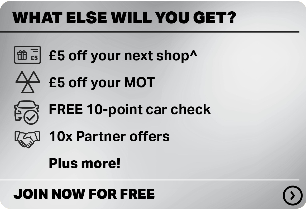 WHAT ELSE WILL YOU GET?