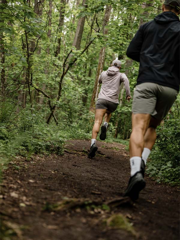 Halti I New arrivals