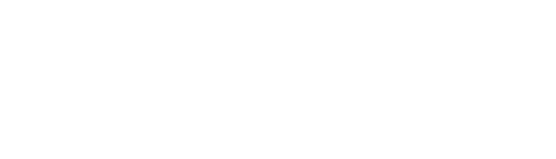 Halti Logo White