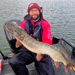 Kun suurhauki iskee - toimi näin