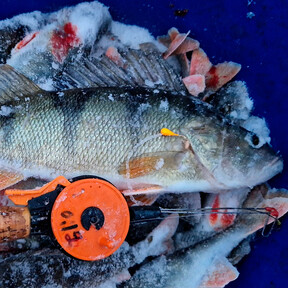 Pilkinnän ABC - opi pilkkimään helposti ja turvallisesti