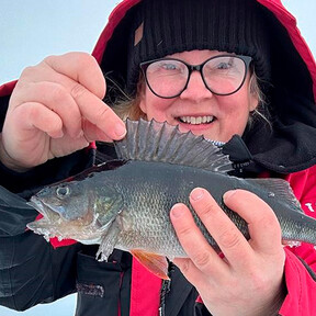 Ensikertalaisen kaikuluotainvinkit - Satu-Johannan opit