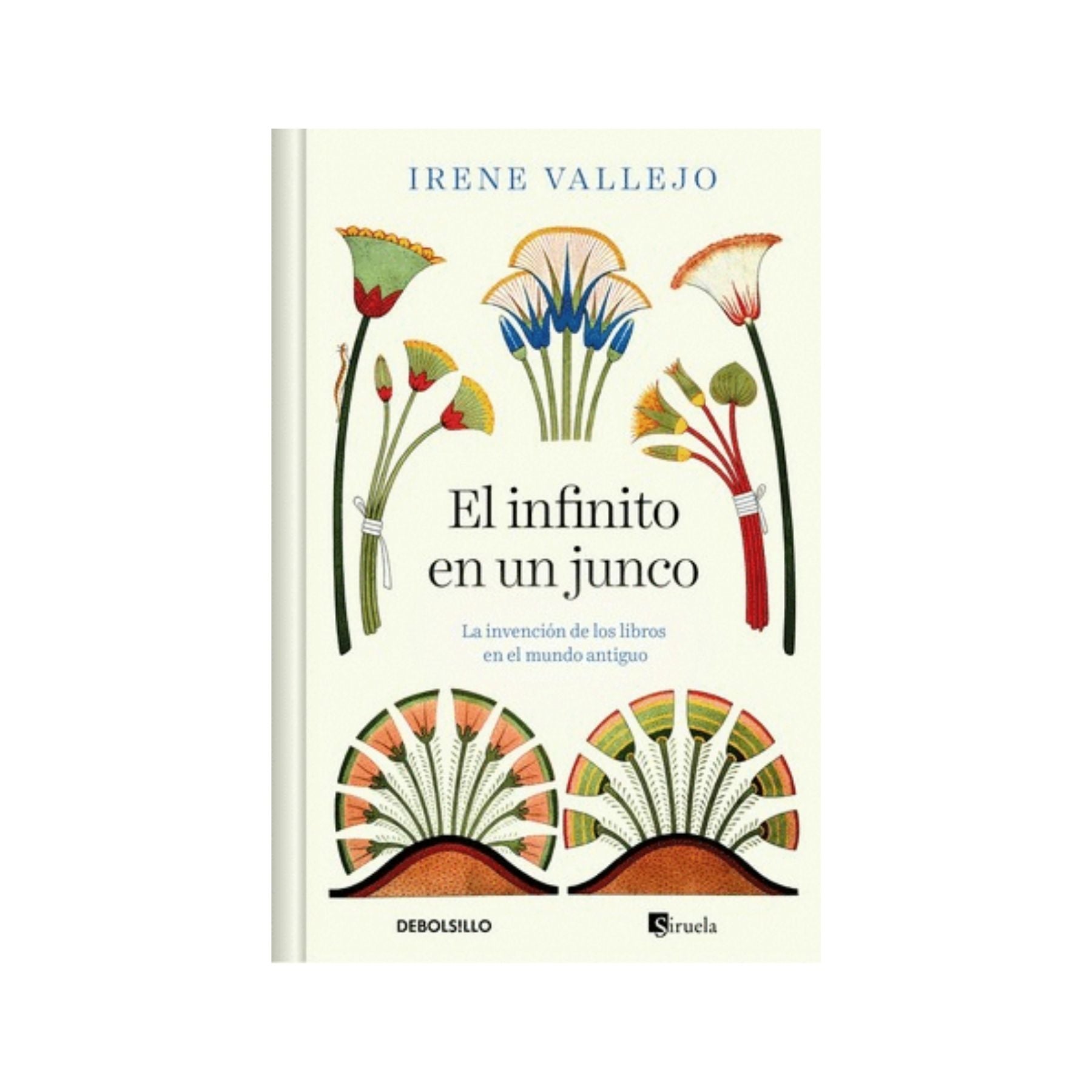 Infinito En Un Junco (Cantos Pintados)