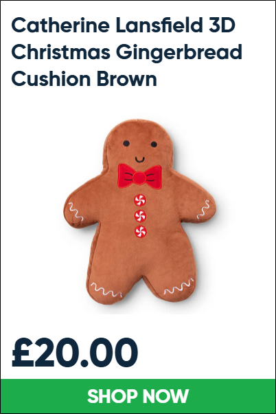 Catherine Lansfield 3D Christmas Gingerbread Cushion Brown