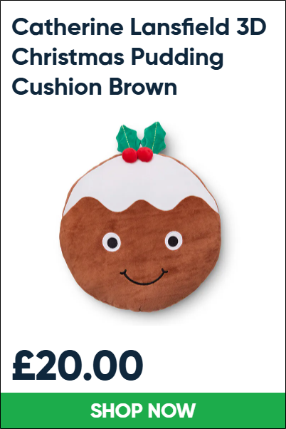 Catherine Lansfield 3D Christmas Pudding Cushion Brown