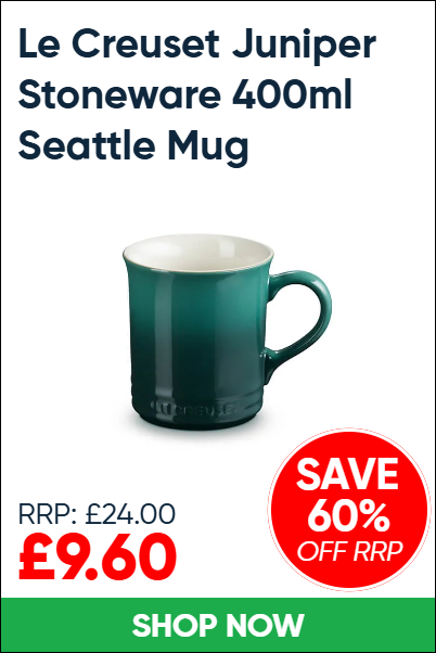 Le Creuset Juniper Stoneware 400ml Seattle Mug