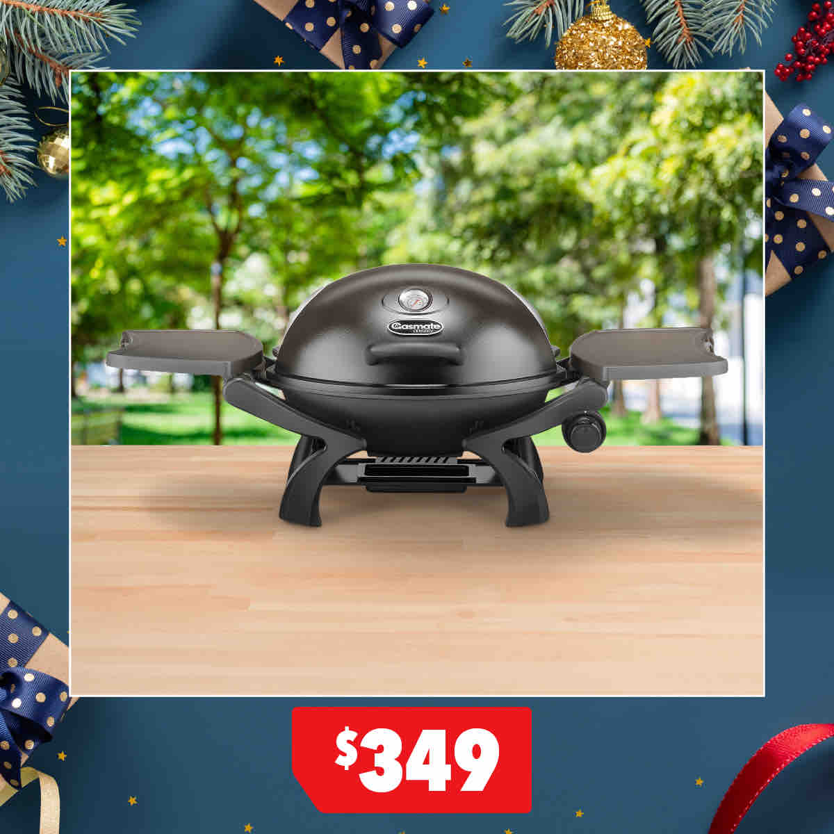 Odyssey Single Burner Portable Barbeque