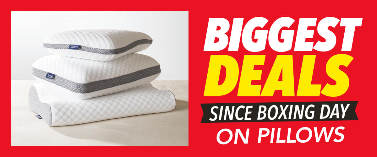 Biggest Deals Since Boxing Day on Pillows