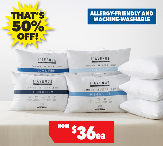 Comfort Select Standard Pillow by L'Avenue