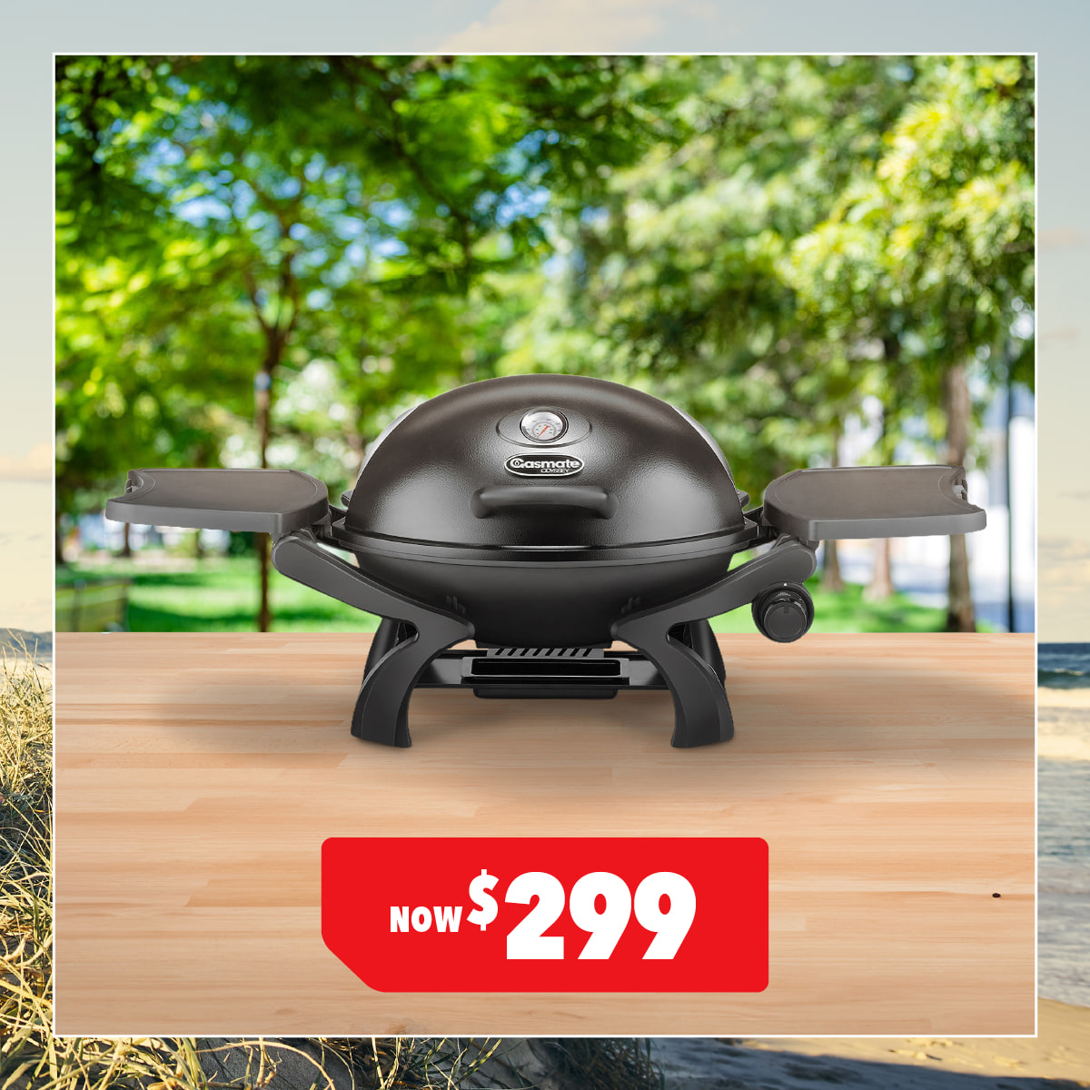 Odyssey Single Burner Portable Barbeque