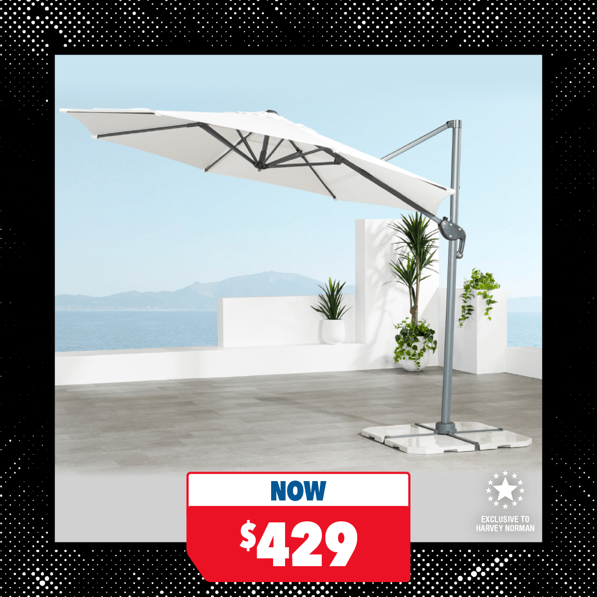 Pegasus Outdoor Umbrella