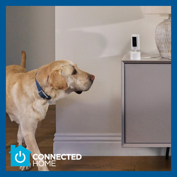 Ring Indoor Cam Wired Pan & Tilt Security Camera