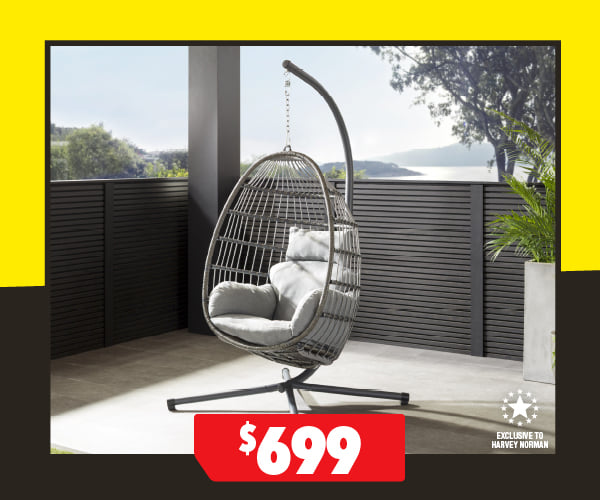 Maui Hanging Egg Chair