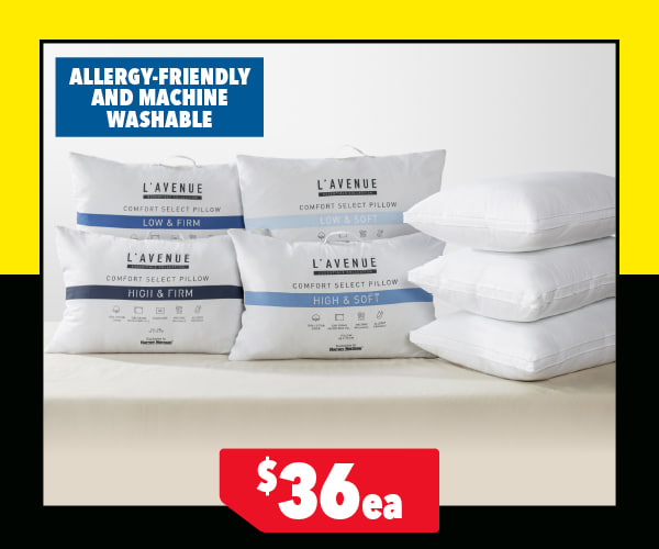 Comfort Select Standard Pillow by L'Avenue