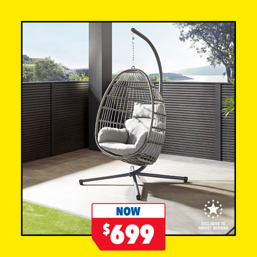 Maui Hanging Egg Chair