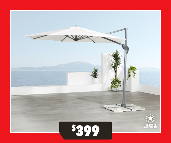 Pegasus Outdoor Umbrella