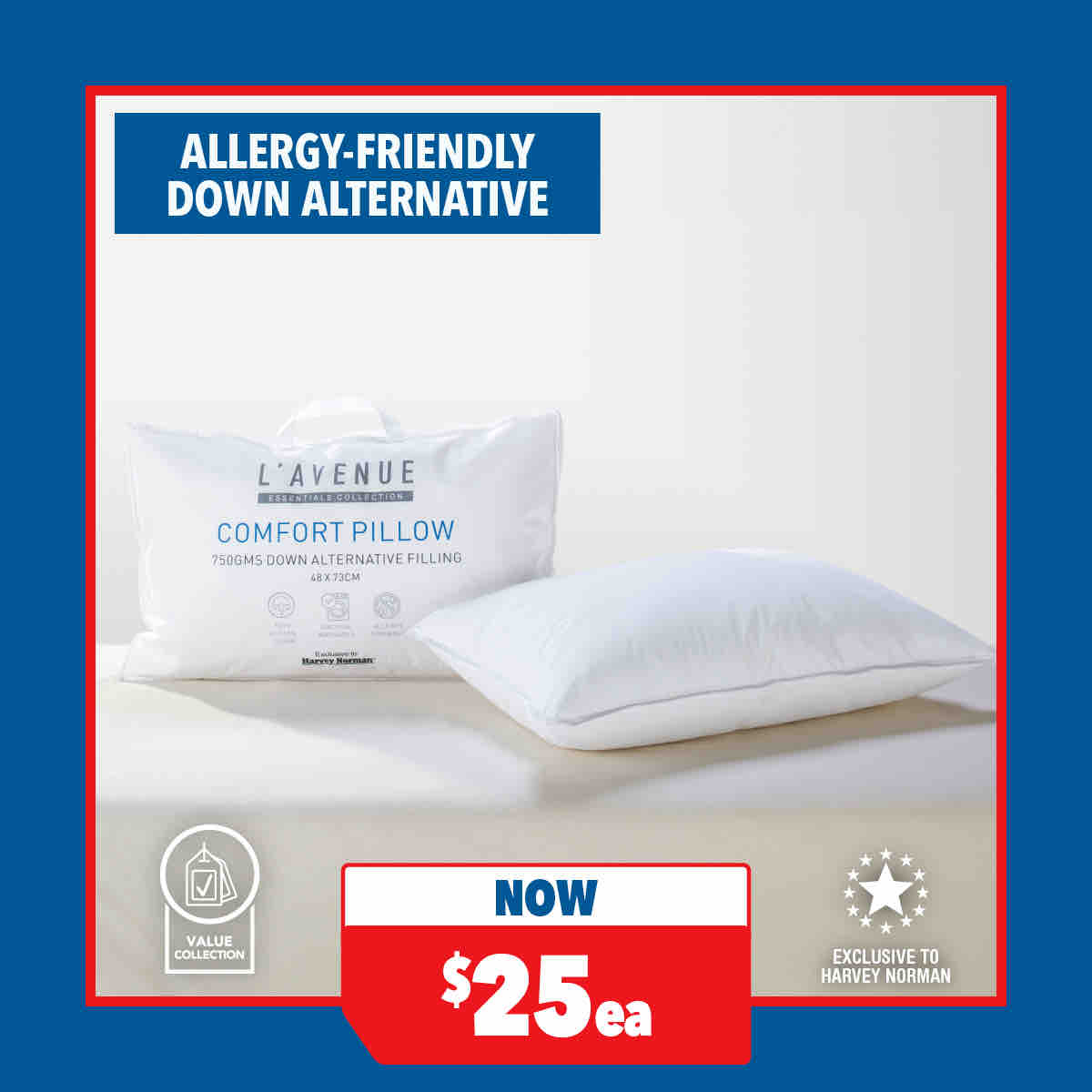 Comfort Medium Pillow by L'Avenue Essentials