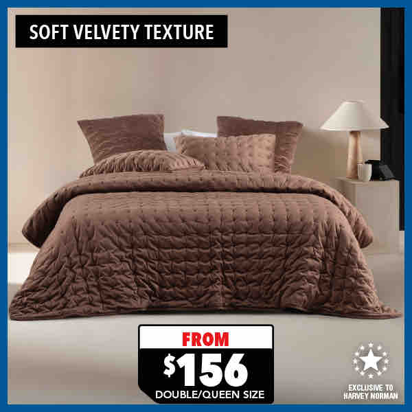 Zephyr Coffee Coverlet Set by LAvenue