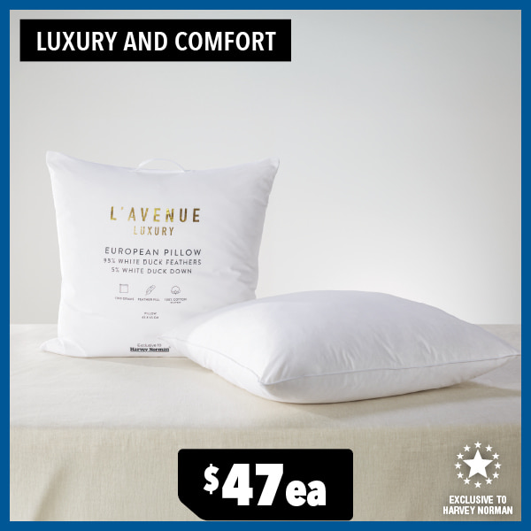 White Duck Down Euro Pillow by L'Avenue Luxury