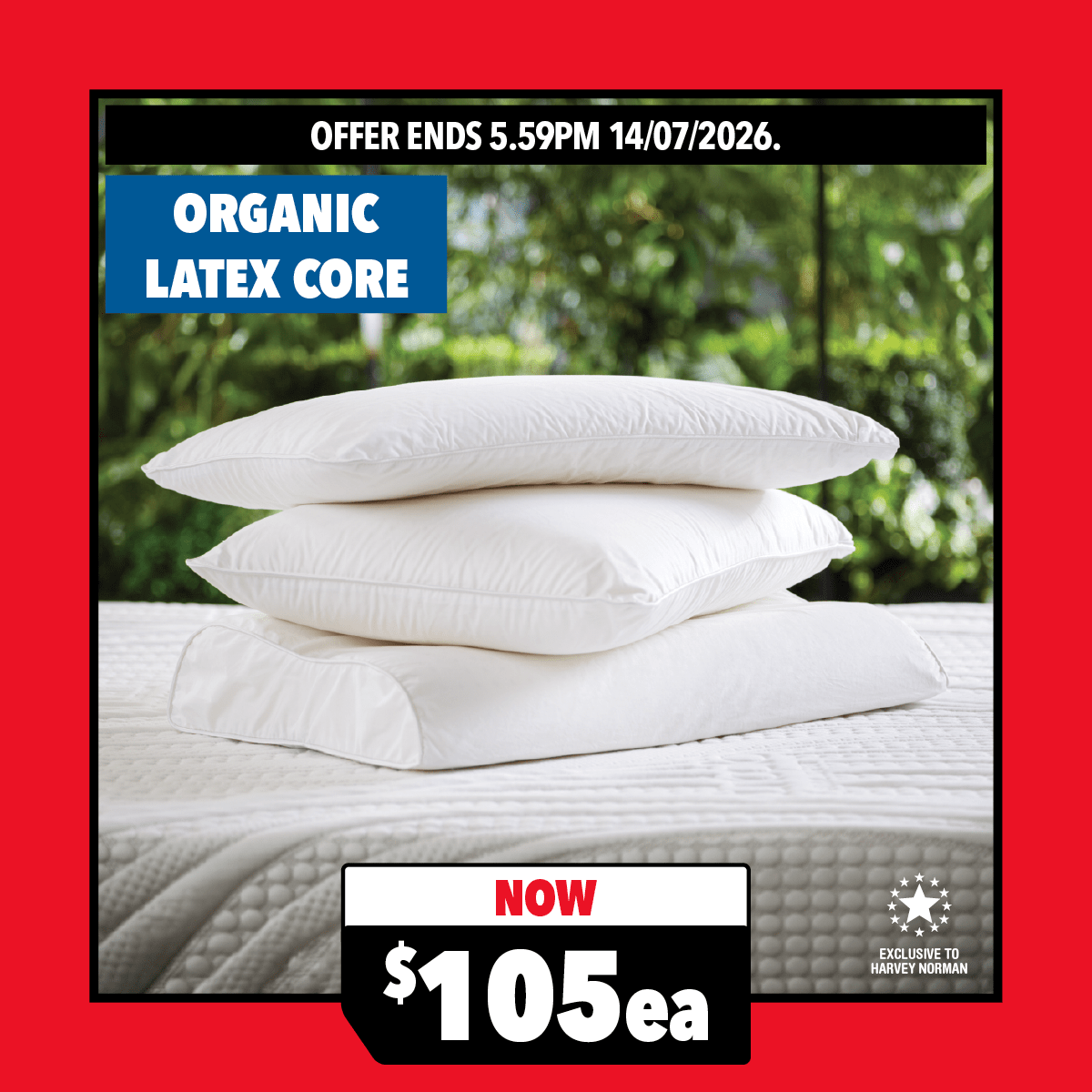 Dunlopillo Natural Pillow