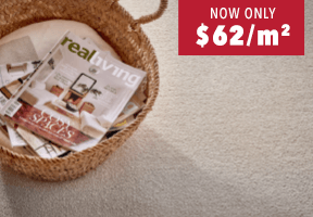 [Stain Defence Essentials 'Royal Chateau' Carpet<sup>†</sup>]