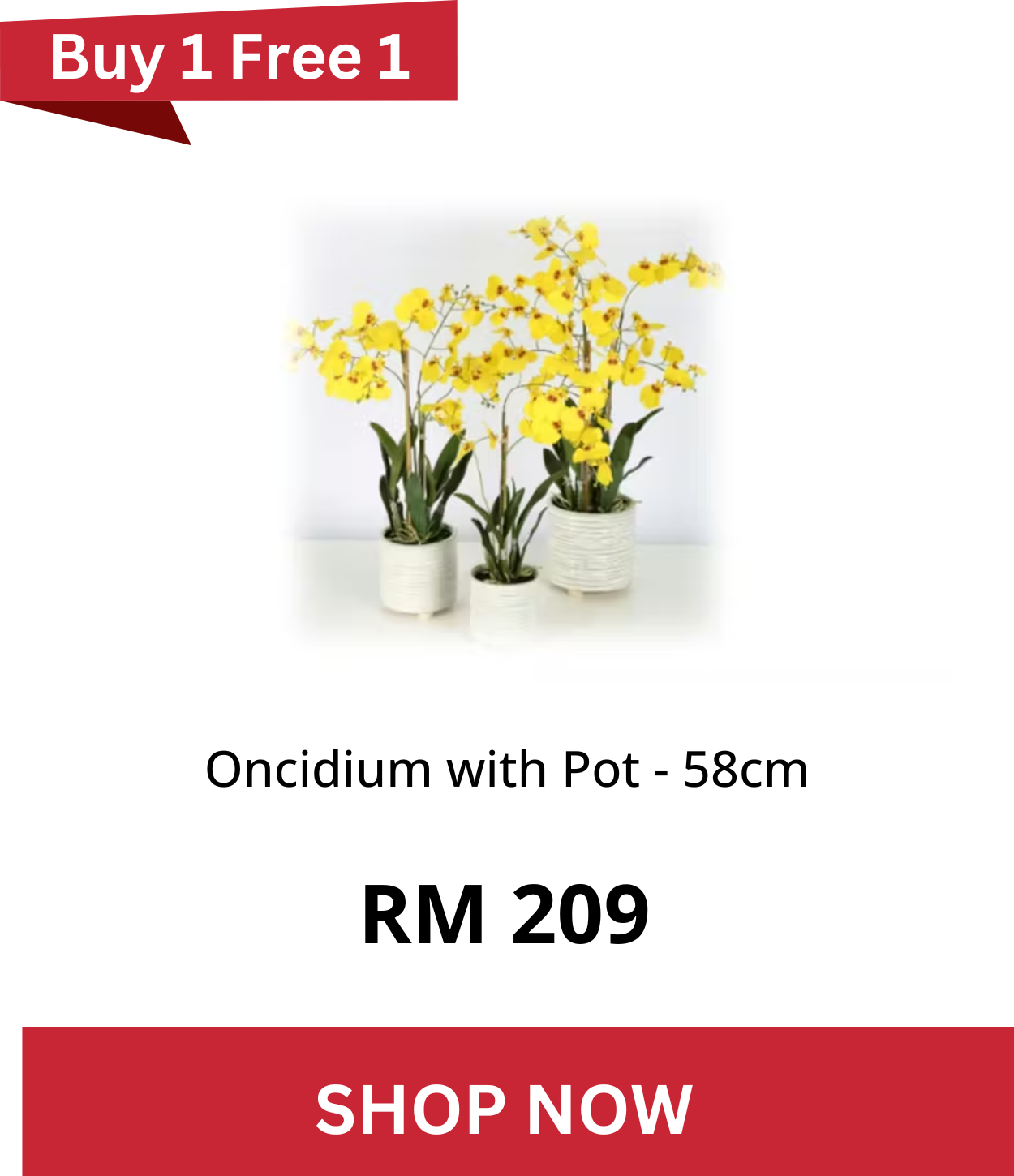 Oncidium with Pot - 58cm