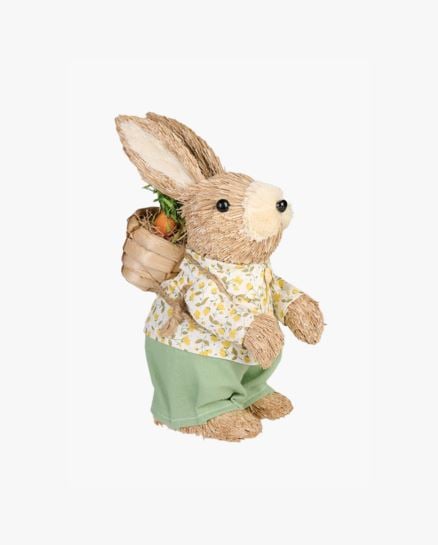 Leo p&auml;&auml;si&auml;iskoriste moniv&auml;ri/keltainen