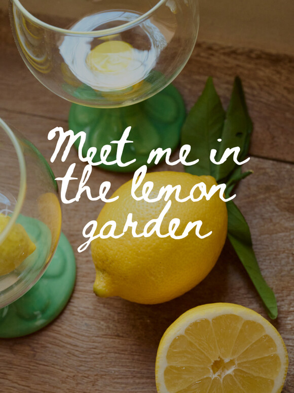 Meet med in the lemon garden