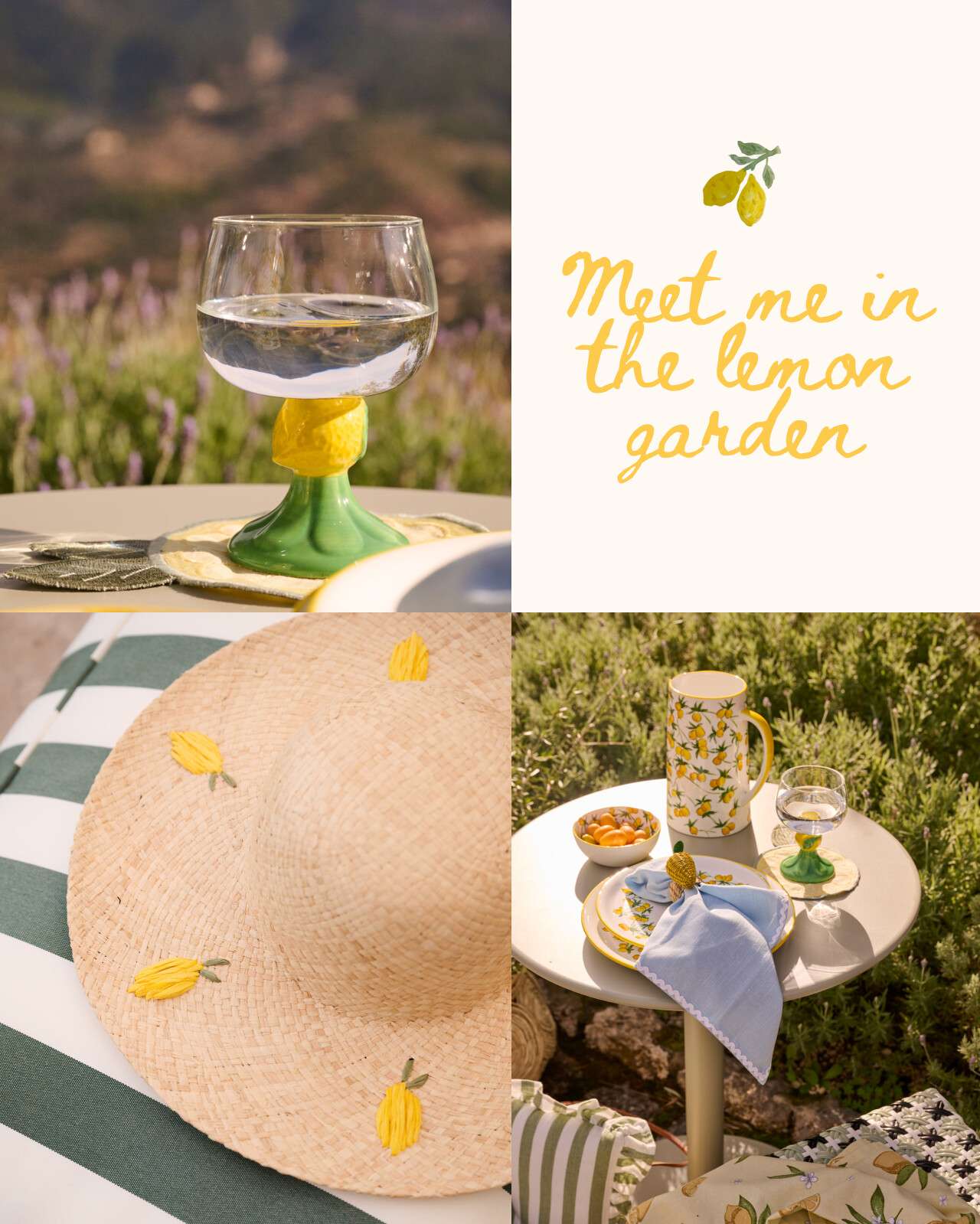 Meet me in the lemon garden!
