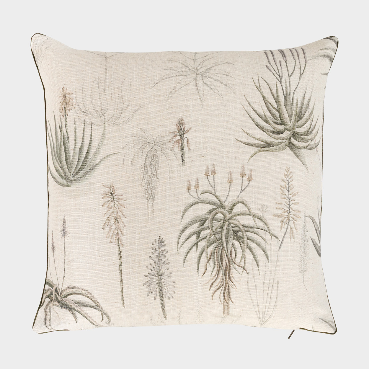 Queens Candelabra Scatter in Aloe