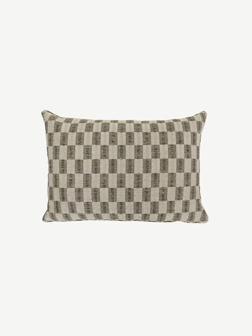 Bronco Scatter in Cactus