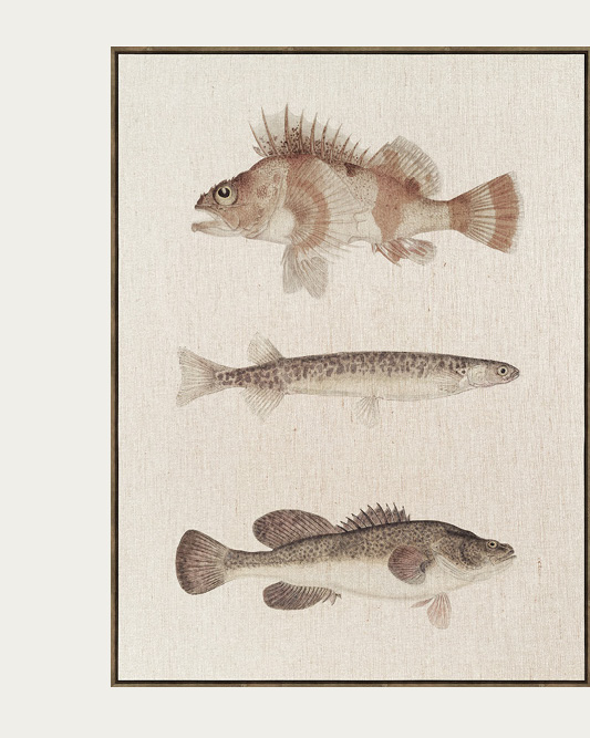 The School of Six Wall Art Set of 2 in Sandy Bay