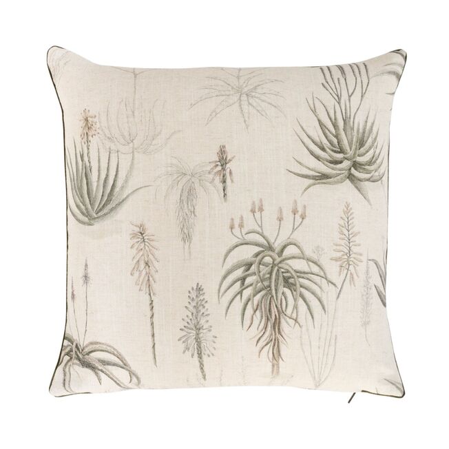 Queens Candelabra Scatter in Aloe