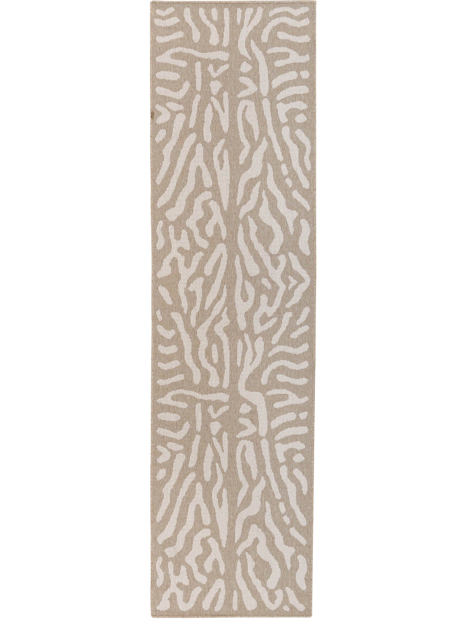 Run Wild Runner in Savanna