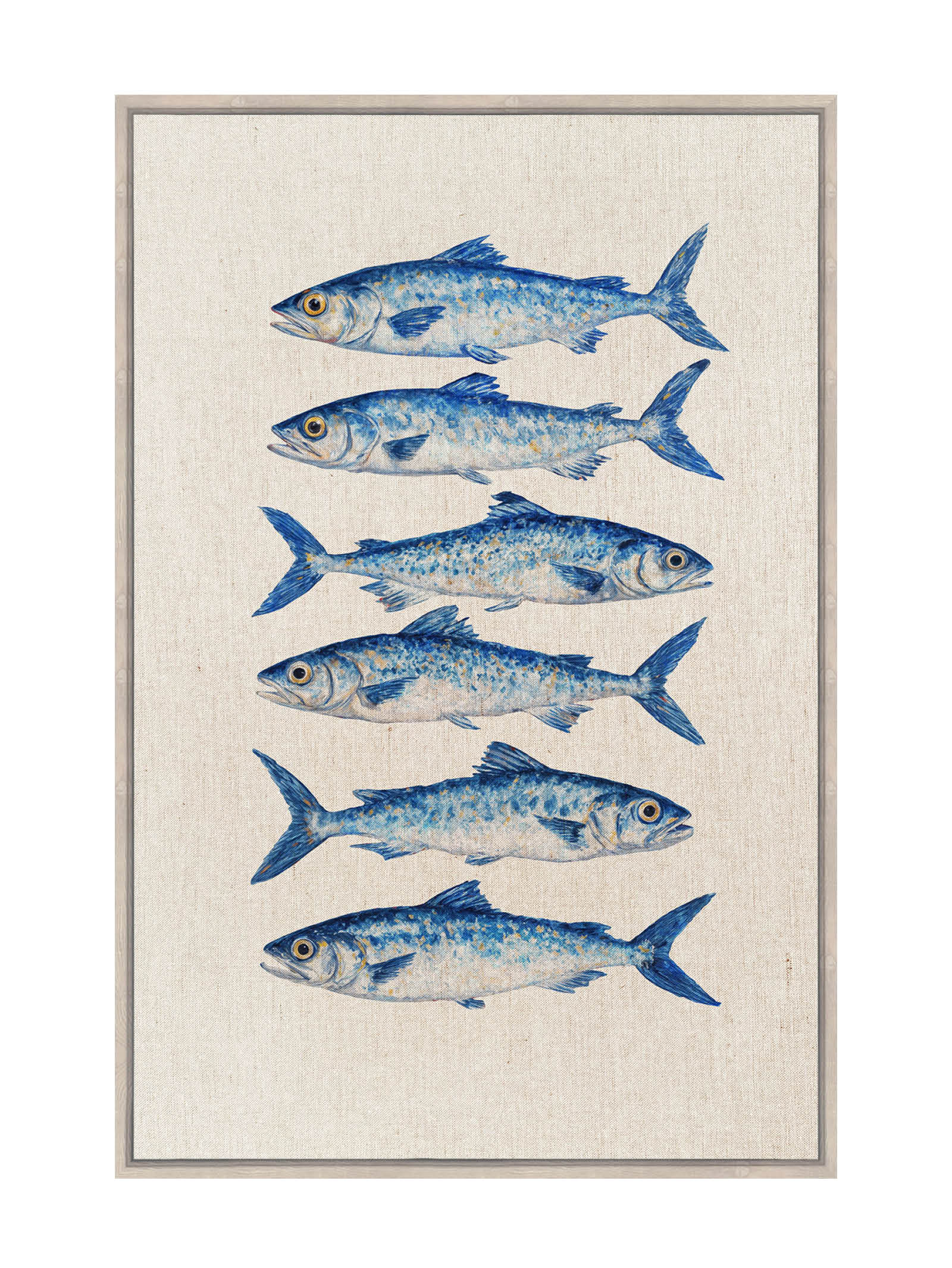 Catch of the Day Wall Art in Marine