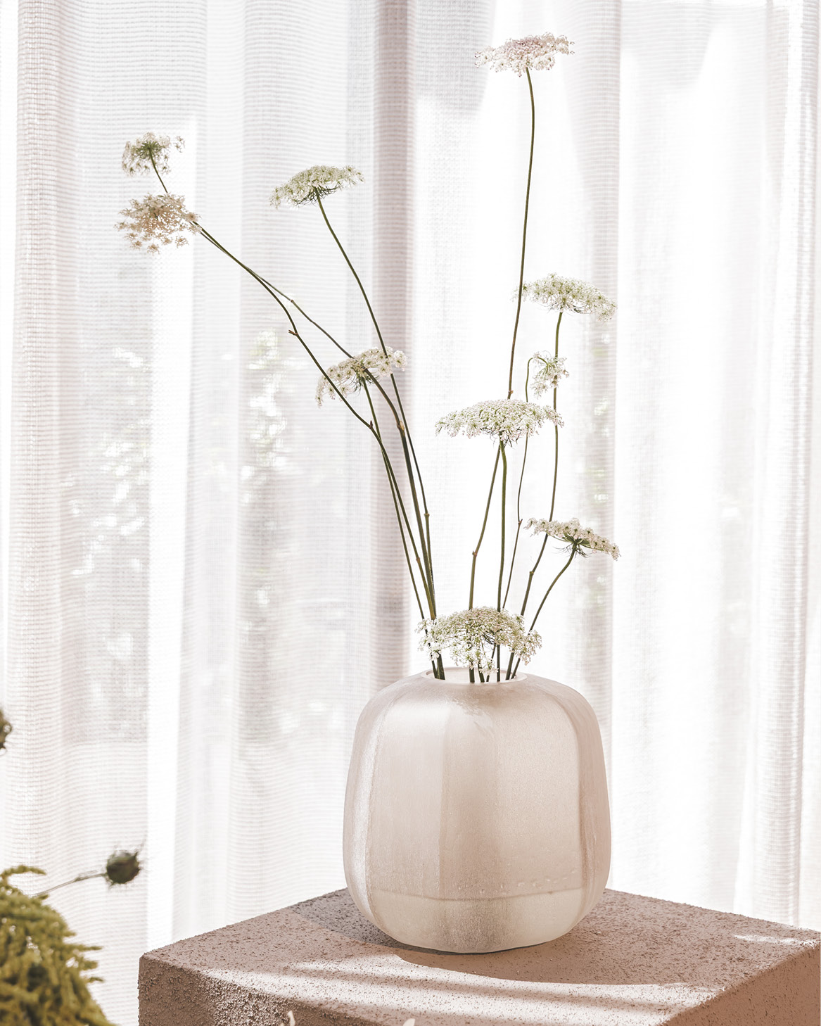 Urchin Vase in Driftwood - Medium