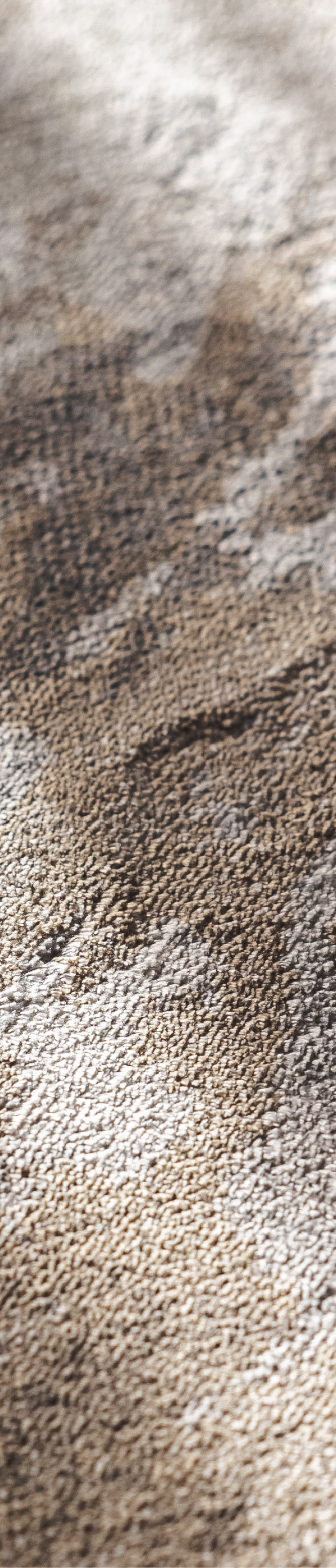 Limitless Rug in Duskfall