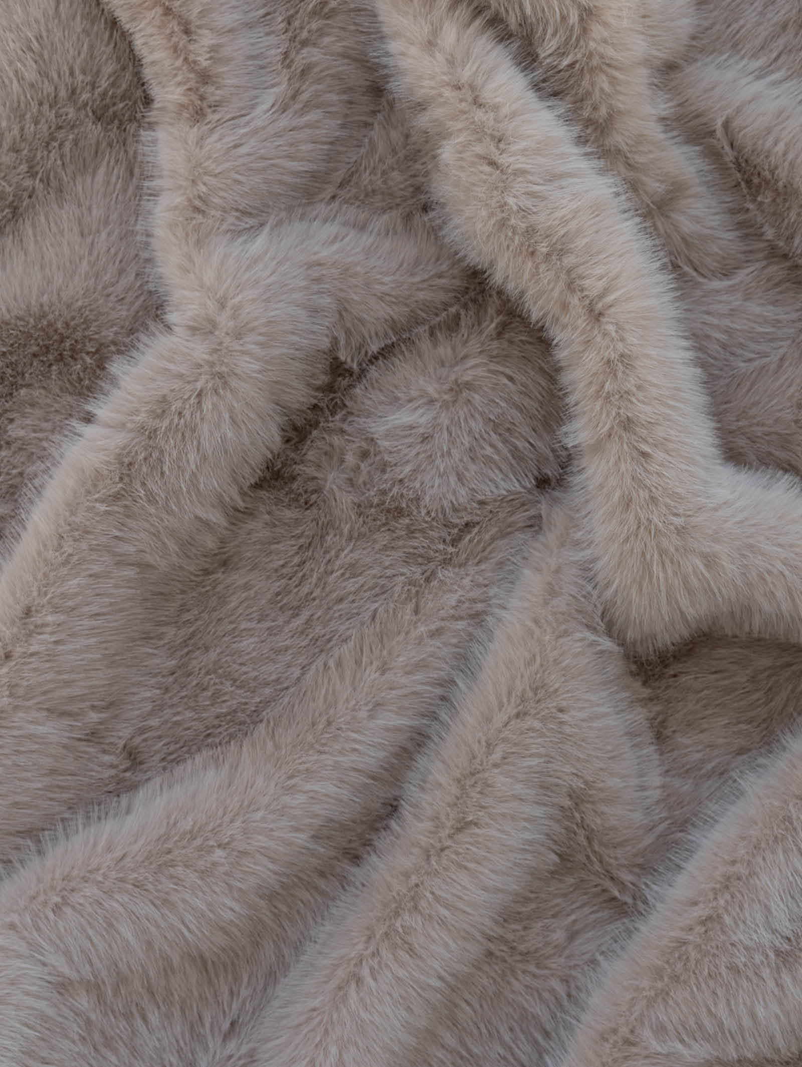 Camel Fur in Cream