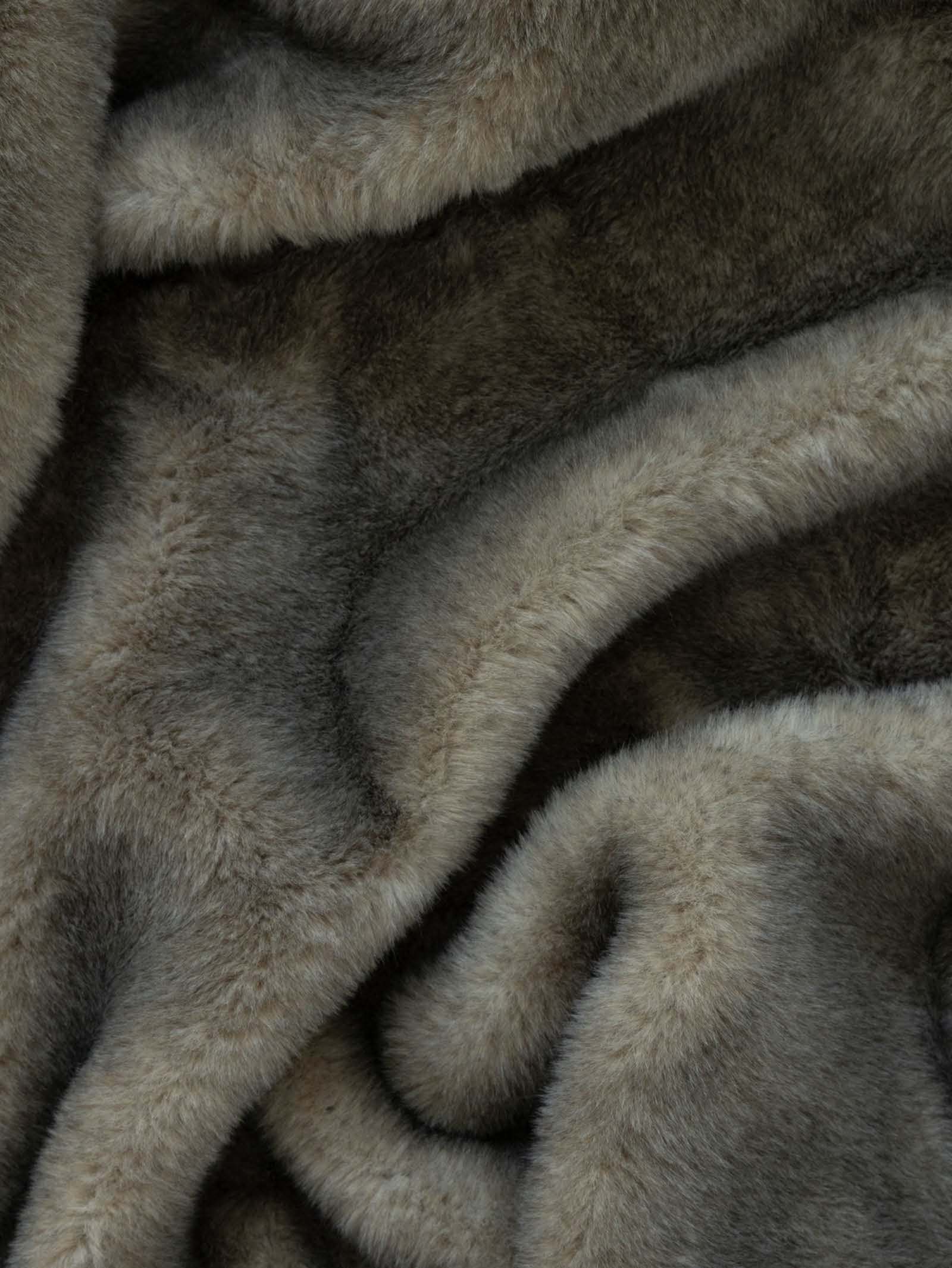 Greenland Fur in Forest